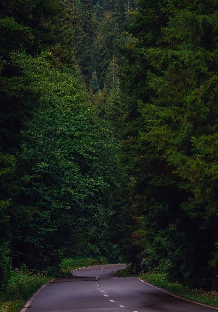 Otar Rogava tweet media