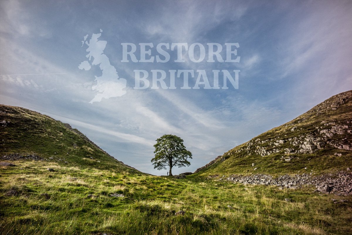 The Indomitable British Spirit tweet media