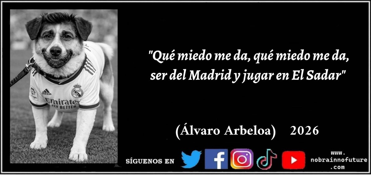 n0brainn0future's tweet photo. Álvaro Arbeloa (2026): "Qué miedo me da, qué miedo me da, ser del Madrid y jugar en El Sadar"
#arbeloa #realmadrid #osasunarealMadrid #osasuna #elsadar #arbeloaout #cao #budimir #pamplona #aupaosasuna #rojillos #pet #petlovers #petphoto #marcotas #AnimalLovers #pets #therians https://t.co/6E2ondsOFr