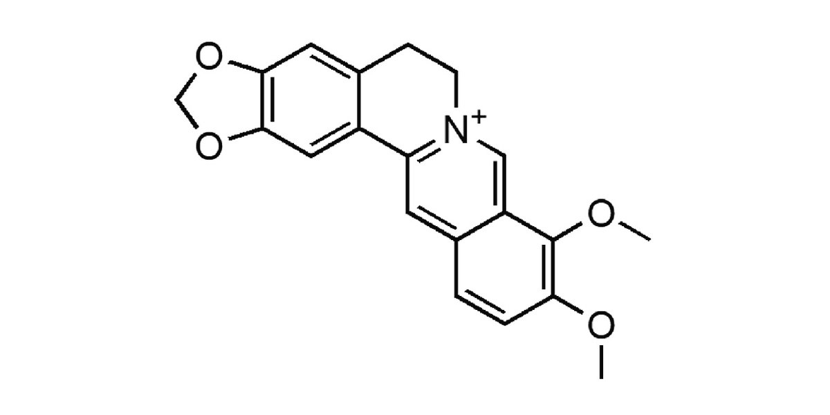 Ergogenics tweet media