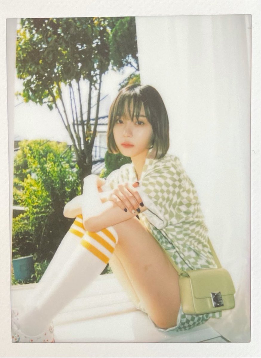 스피노 tweet media