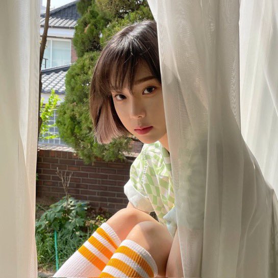 스피노 tweet media