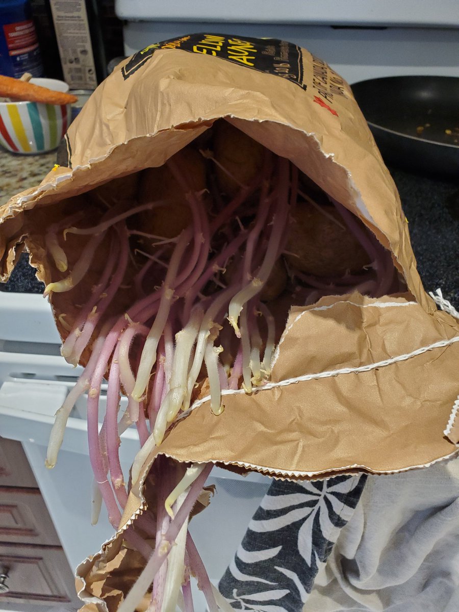 Taters was $2 a bag, so I bought 4 bags. This is the last one. LOL