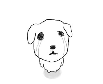 .깡님께 뽀뽀 tweet media