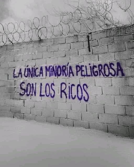 Helena 🇵🇸⩜🔻❤️💛💜✊🏼💢🏳️‍🌈 tweet media