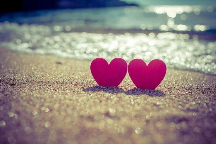 ✿ فــراولة tweet media