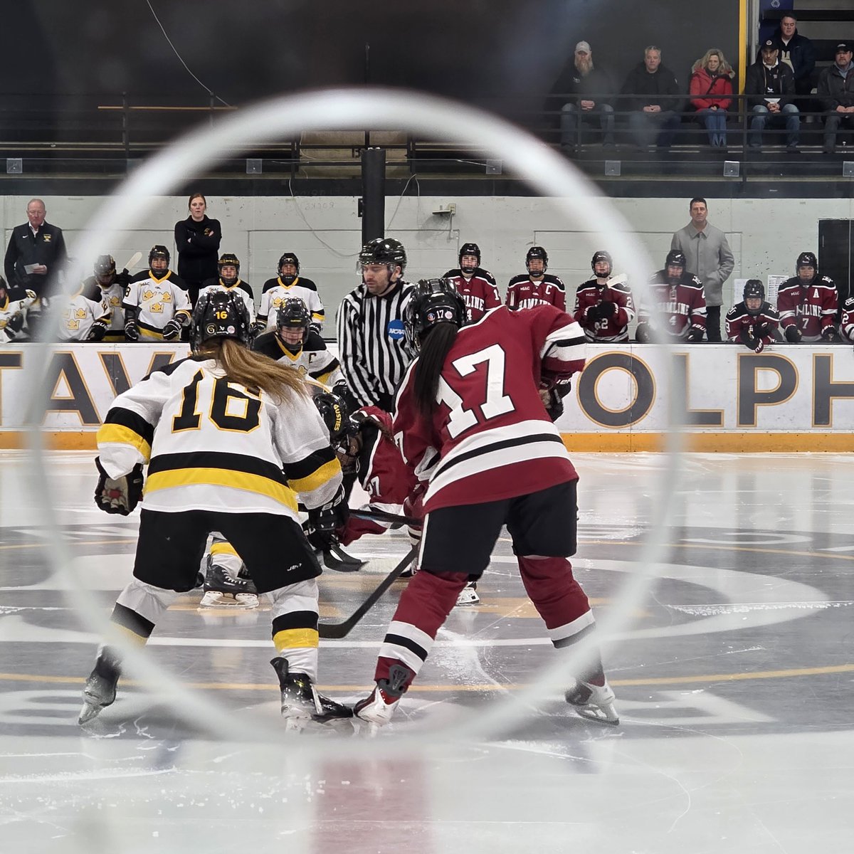 julioscores's tweet photo. Obligatory #GlassHole puck drop @GustieWHockey vs @HamlineWHockey #MIAC https://t.co/gzexBjjtiD
