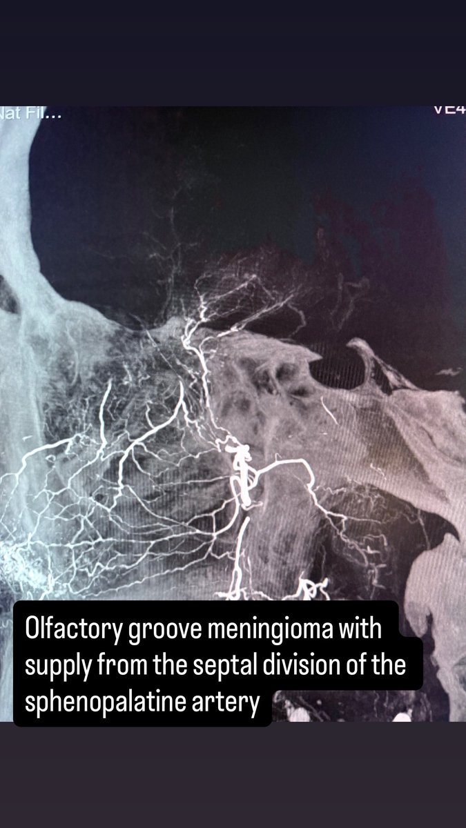 Icono Guide tweet media