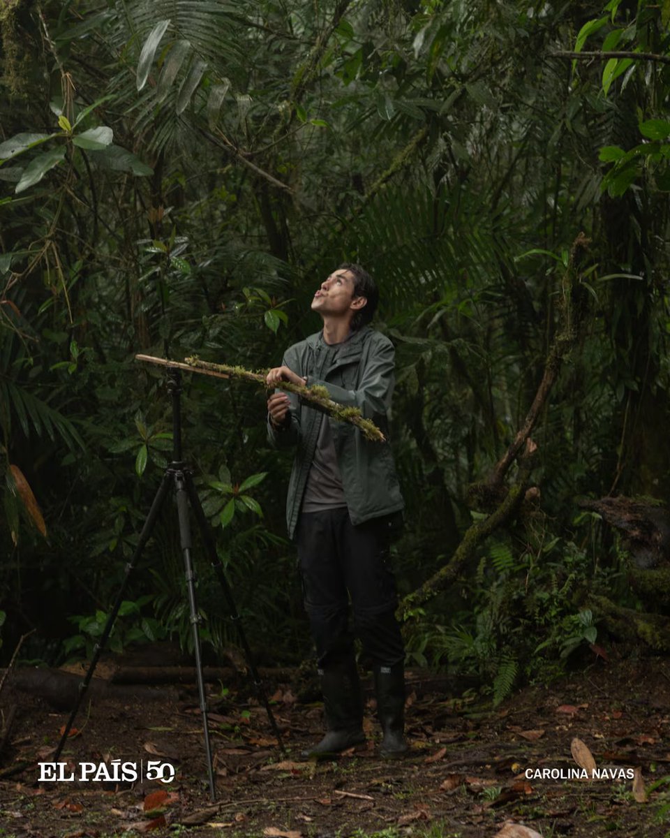 🇨🇴🐦 La observación de pájaros o pajareo se perfila como rubro económico y terapia física y mental en Colombia, el país con más especies en el mundo dozz.es/1p2e78