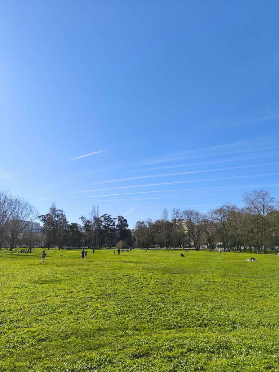 LynnParsonsUK's tweet image. Filipe Our Portuguese correspondent @magicfm #MellowMagic sends Us a #Sunshine #WindowOnYourWorld 🙏