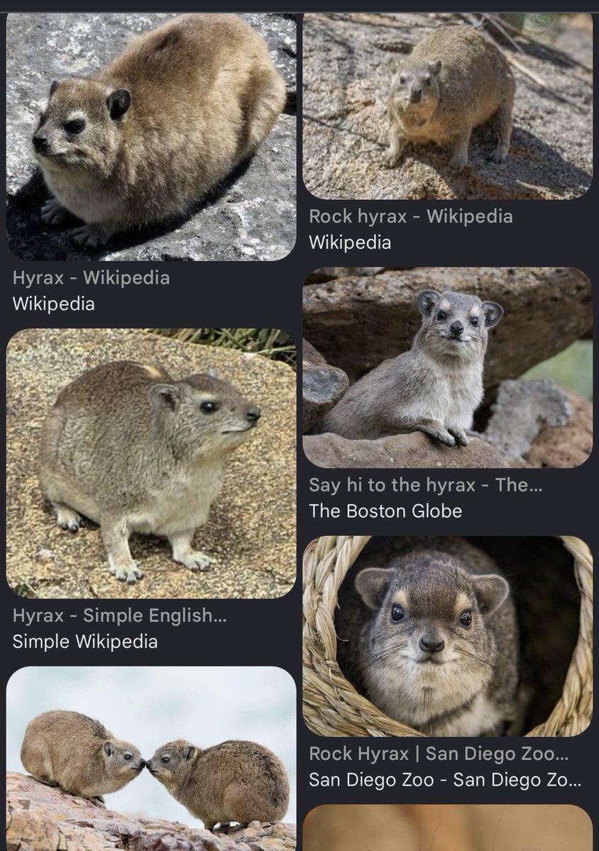 Cold Slaw tweet media