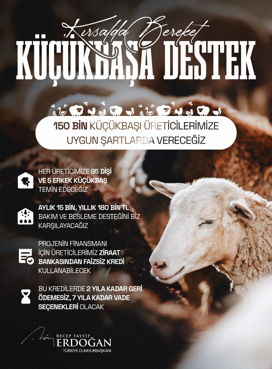 Boşuna Tıklama tweet media