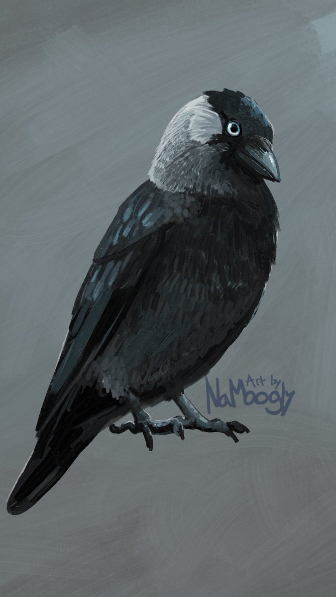 NaMoogly ➡️ namoogly.bsky.social tweet media
