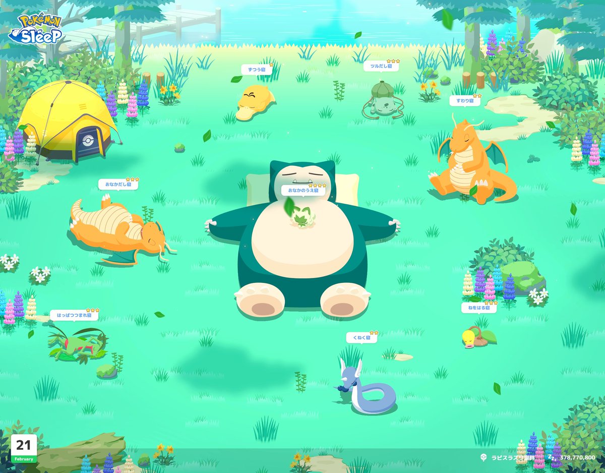 今朝はうとうと！ やっぱラピスはうとうとだな😂✨ ぐっすりとうとうと