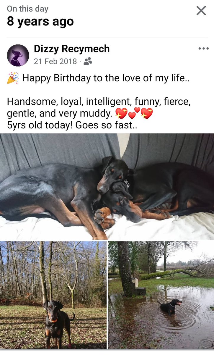 Dizzy Recymech tweet media