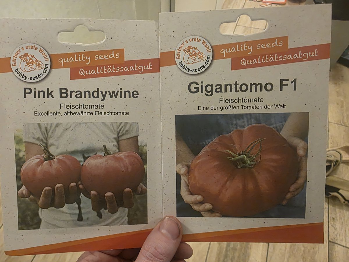 HardwareRat tweet media