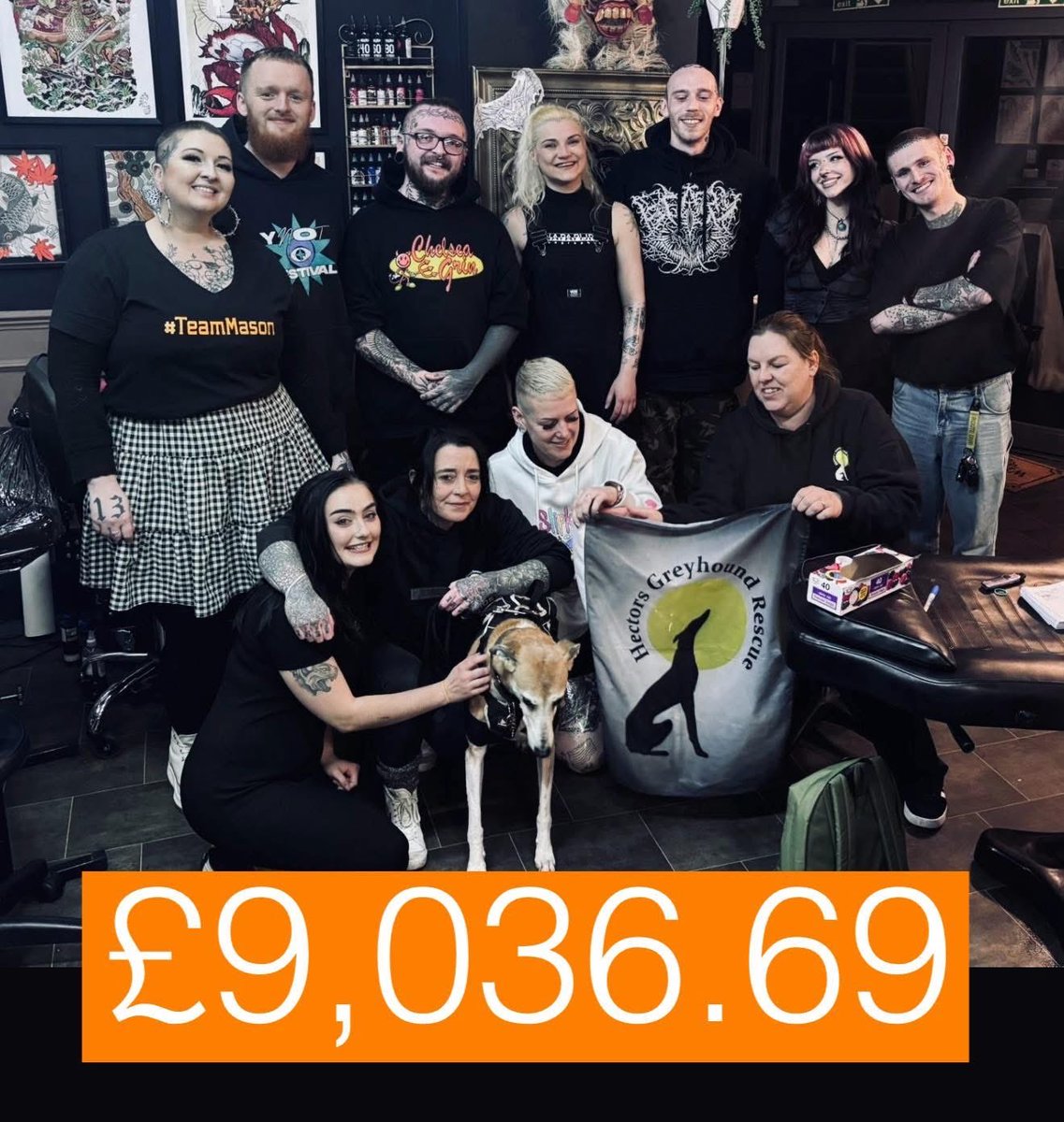 Hector’s Greyhound Rescue tweet media