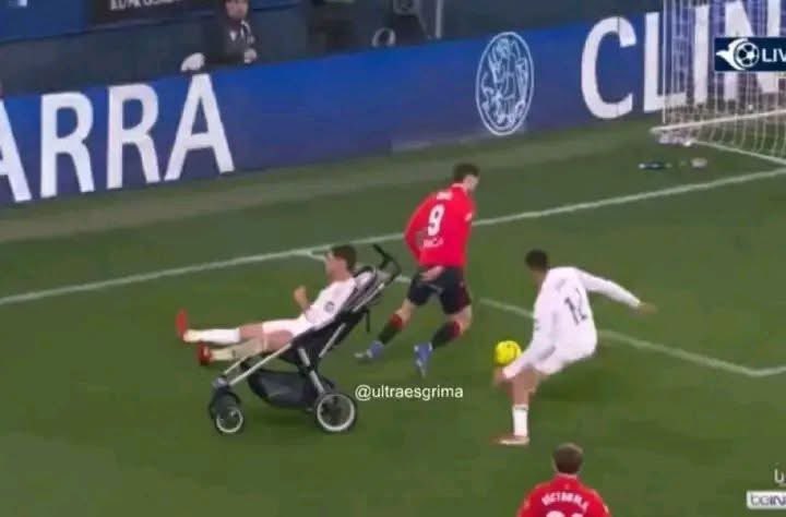 Berneese tweet media