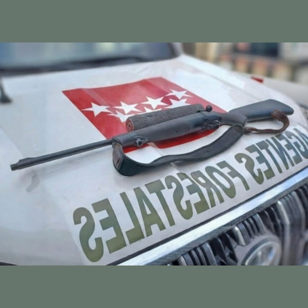 Los #AgentesForestalesCM 👮‍♂️🚔🦅 somos un cuerpo intensamente ligados a la actividad cinegética. 

Nuestras funciones nos exponen a interactuar con ciudadanos armados y debemos ir dotados de medios acorde a la peligrosidad de las intervenciones. 

#PoliciaMedioambiental