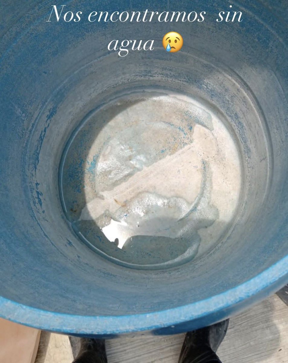 Plu2Desampara2's tweet photo. .@victoriaruffo31 
🛑URGENTE 🛑

Amanecimos sin agua y aquí ocupamos para que los peludos beban y para mantener sus hogar limpio.

Necesitamos $1,600 o 16 almas bondadosas de $100
Envía tu comprobante #Sinsed 

𝐀𝐘𝐔𝐃𝐀𝐍𝐎𝐒 𝐀 𝐋𝐋𝐄𝐍𝐀𝐑 𝐒𝐔𝐒 𝐏𝐋𝐀𝐓𝐈𝐓𝐎𝐒 𝐃𝐄 𝐂𝐑𝐎𝐐𝐔𝐄𝐓𝐀𝐒 𝐏𝐎𝐑 𝐅𝐀𝐕𝐎𝐑.
 
🍒 𝗠𝗜𝗙𝗘𝗟  01600393320  Clabe 042180016003933208 a nombre de Peludos Desamparados A.C 

🍒 𝐁𝐀𝐍𝐀𝐌𝐄𝐗  
 Transferencia 002180700830813588  

🍒𝗕𝗔𝗡𝗖𝗢 𝗔𝗭𝗧𝗘𝗖𝗔 
Cuenta 97911302924642 
Clabe 127180013029246428 
Tarjeta 4027 6658 2579 4861  
Jacqueline Baca  

🍒 𝐓𝐀𝐑𝐉𝐄𝐓𝐀 𝐍𝐔 
Trasferencia 638180010151230124
Jacqueline Baca.

🍒 𝗕𝗔𝗡𝗖𝗢𝗠𝗘𝗥 4098 5130 1897 8491    
🍒 𝗕𝗔𝗡𝗖𝗢𝗠𝗘𝗥 4098 5130 2280 5896

🍒 𝗢𝗫𝗫𝗢  2242170420476810  

🍒 𝗣𝗔𝗬𝗣𝗔𝗟 https://t.co/fjn4sBkXo5
(PayPal  cobra comisión y lo descuenta de lo enviado y entrega en 4 a 6 días hábiles.) 

🎁 𝗠𝗘𝗦𝗔 𝗗𝗘 𝗥𝗘𝗚𝗔𝗟𝗢𝗦 𝗗𝗘 𝗔𝗠𝗔𝗭𝗢𝗡  
https://t.co/bqrOHfrfke?