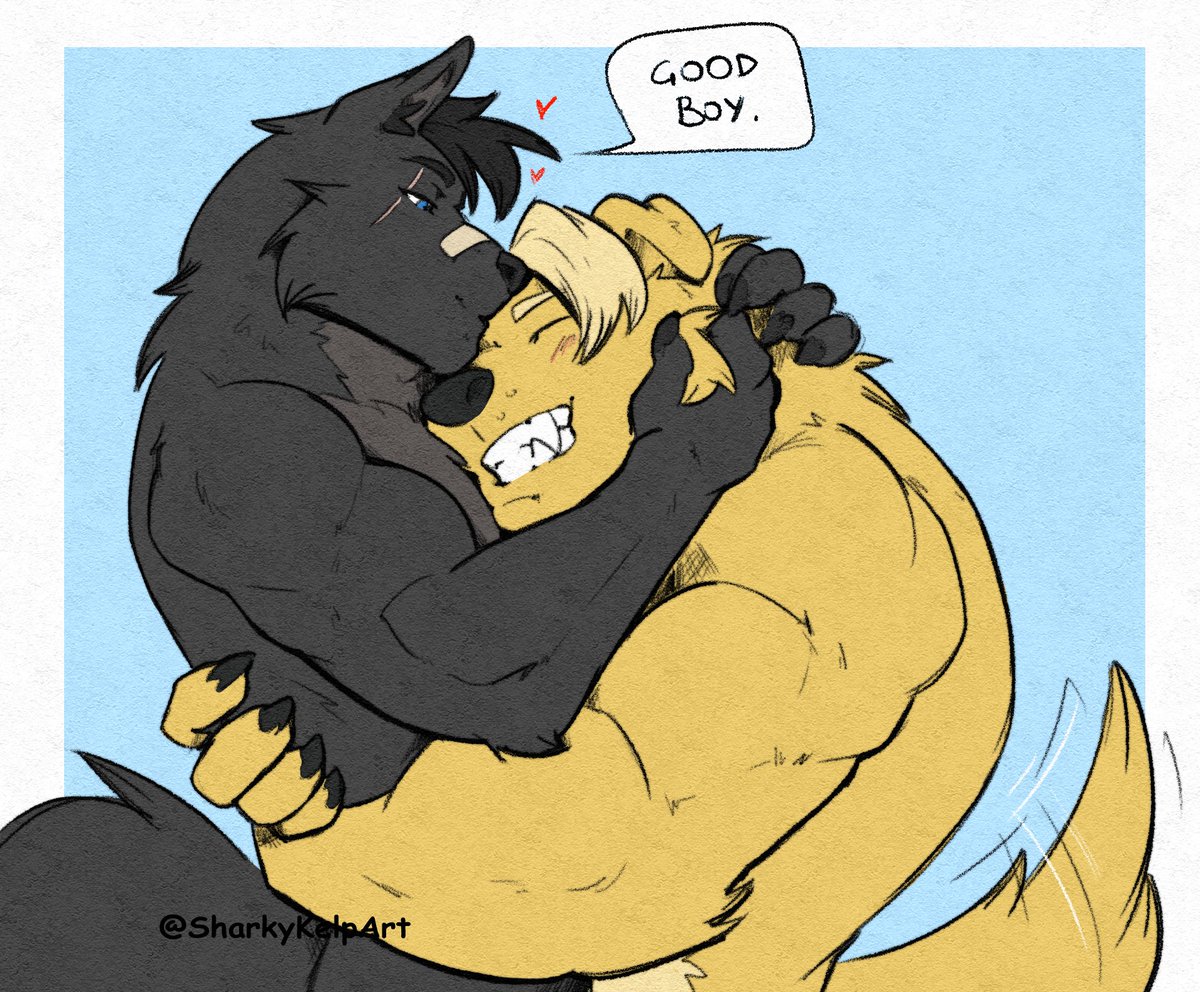 Sharky Kelp tweet media