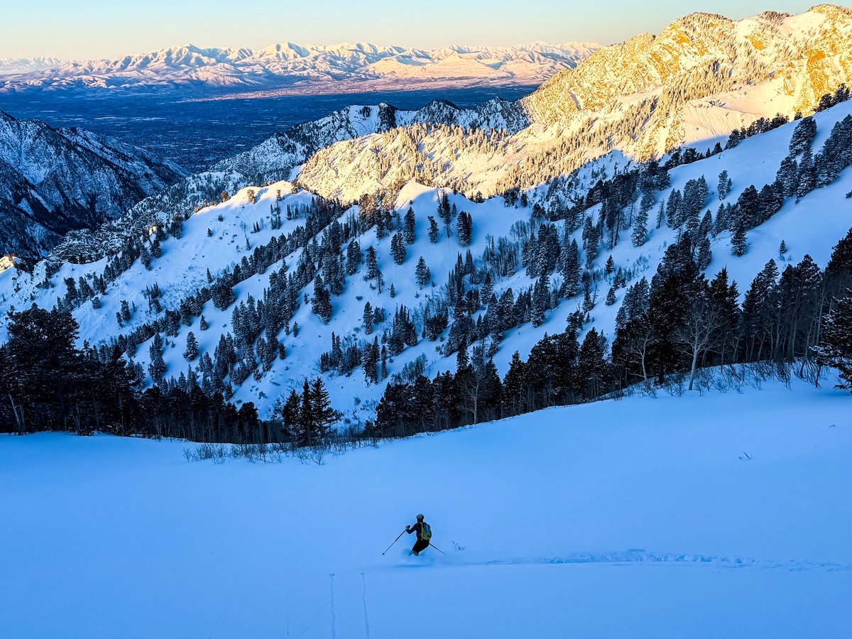 Matt Asay tweet media