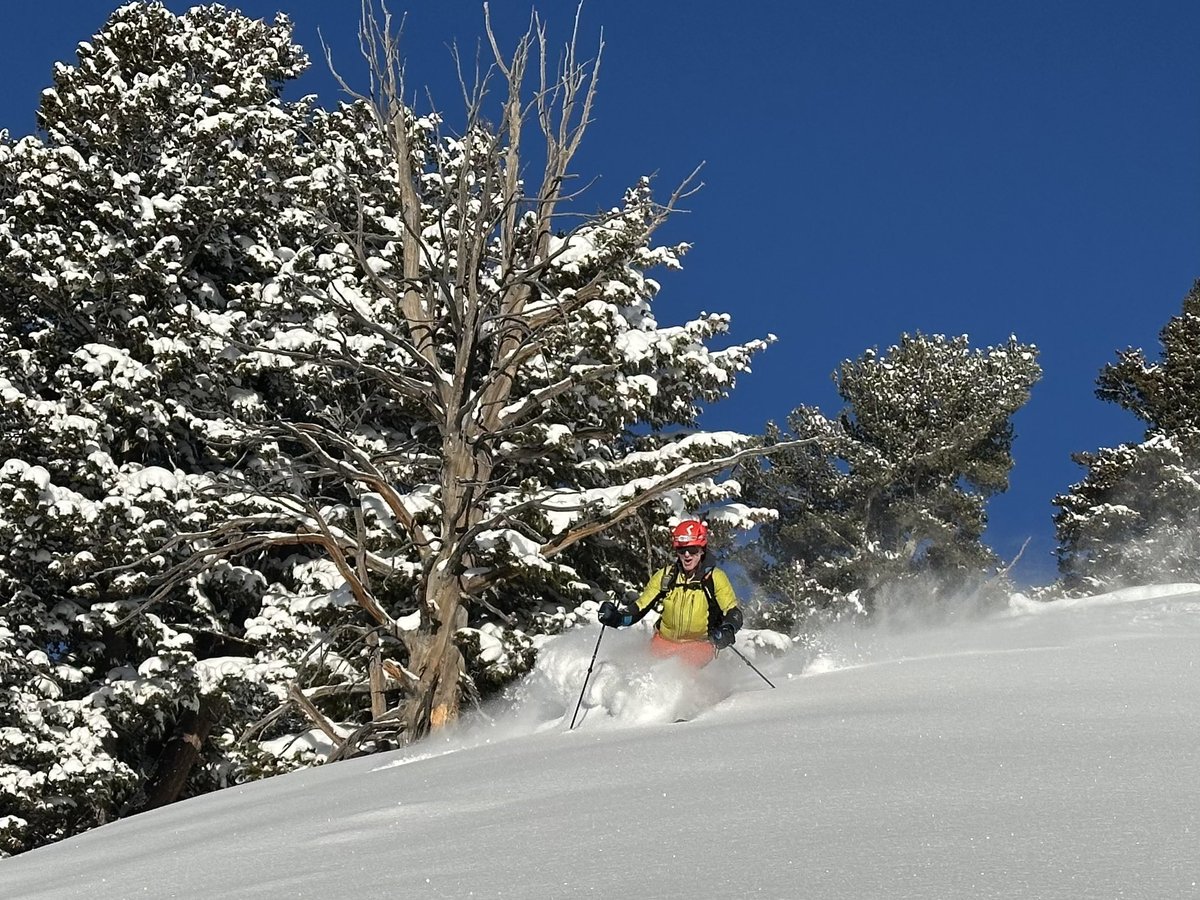 Matt Asay tweet media