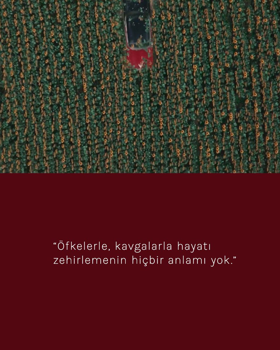YKYHaber's tweet photo. Masumiyet Müzesi’nden alıntılar…📜
Aşkın, hatıranın ve mutluluğun içinden seçilen cümleler. https://t.co/jfWswnR1Ee