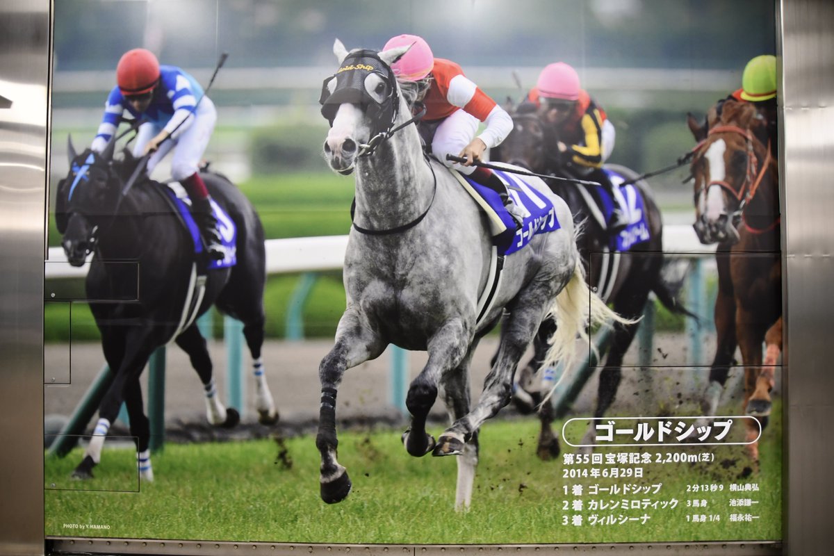 お隣のゴールドシップ。親子で宝塚記念制覇の感動