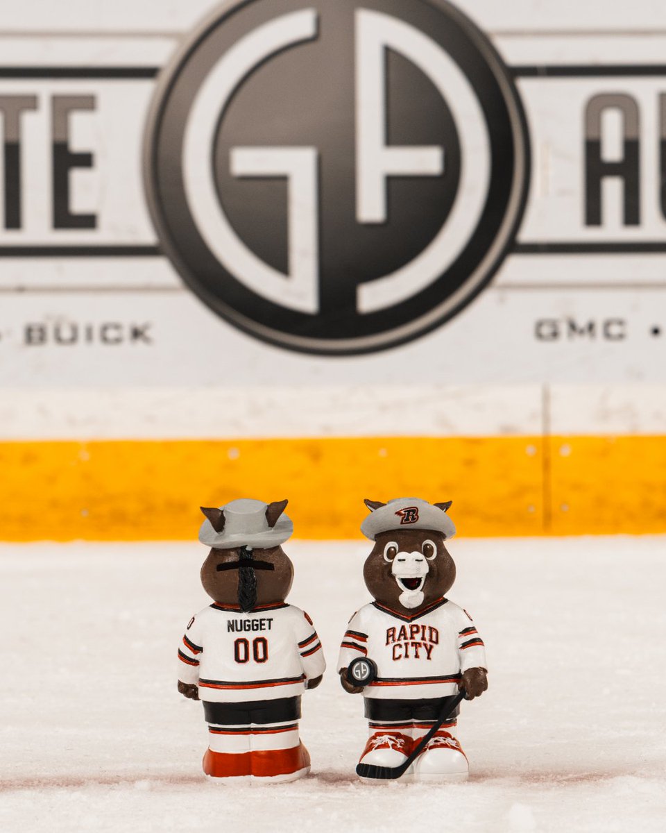 Rapid City Rush tweet media