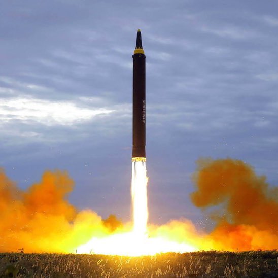 Whale Insider tweet media