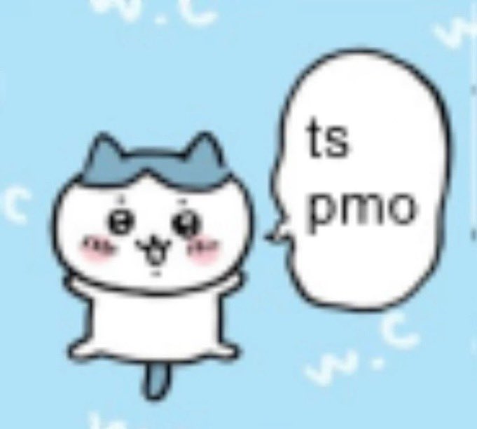 falso nos conocimos antes d qsmp