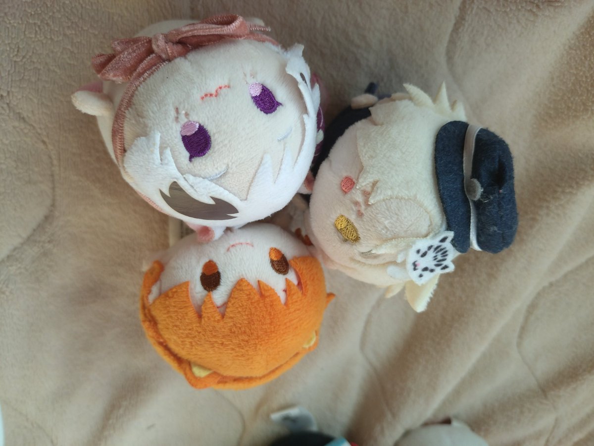 PrimsMochis's tweet photo. ジャガ村『ねこのひニャ!』 https://t.co/WL04iiVGBW