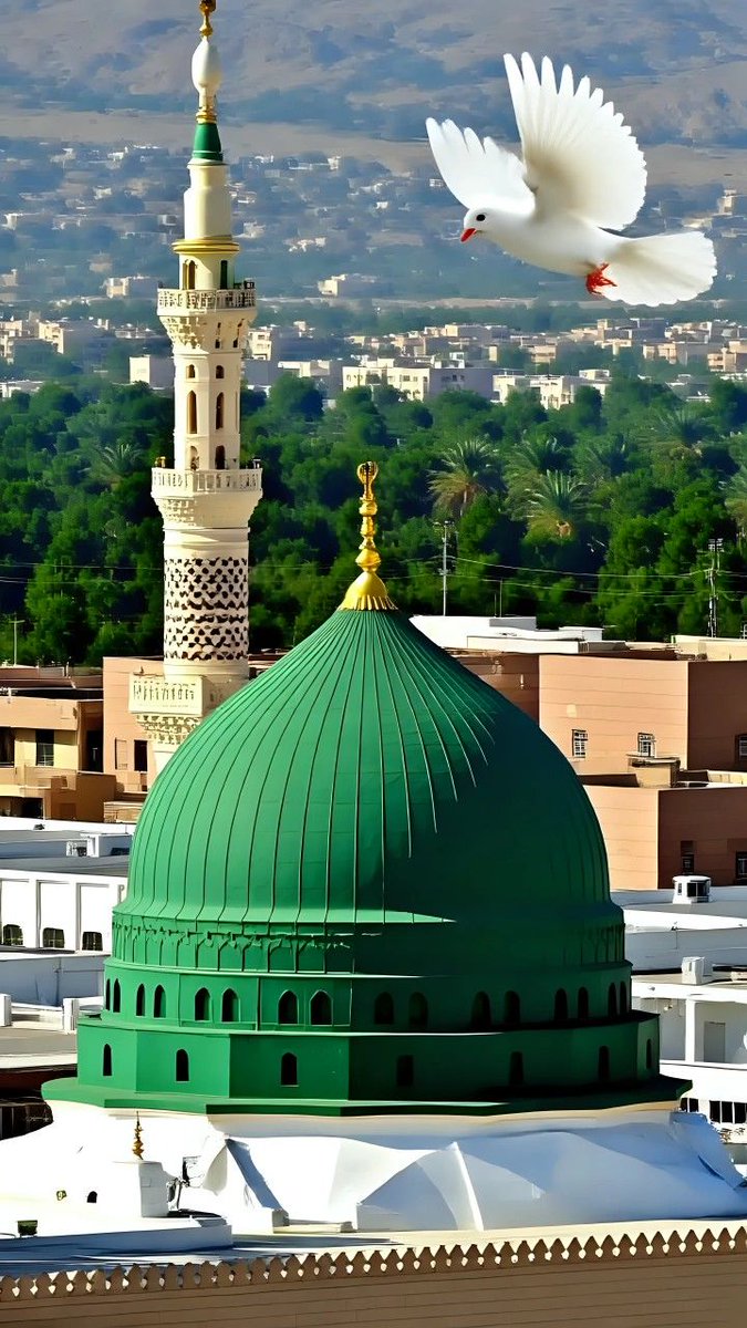 السلام و علیکم ورحمتہ اللہ وبرکاتہ 
رب کریم سے دعا ہے کہ وہ آج کا دن اور ہر انے والا دن اس ماہ مبارک کے صدقے خوشیوں سے بھر دے آمین یارب العالمین 🙌 
Wishing you a blessed third Sehri of Ramadan dear X friends 🌻