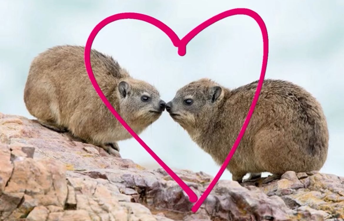 set adrift on memory bliss of you…