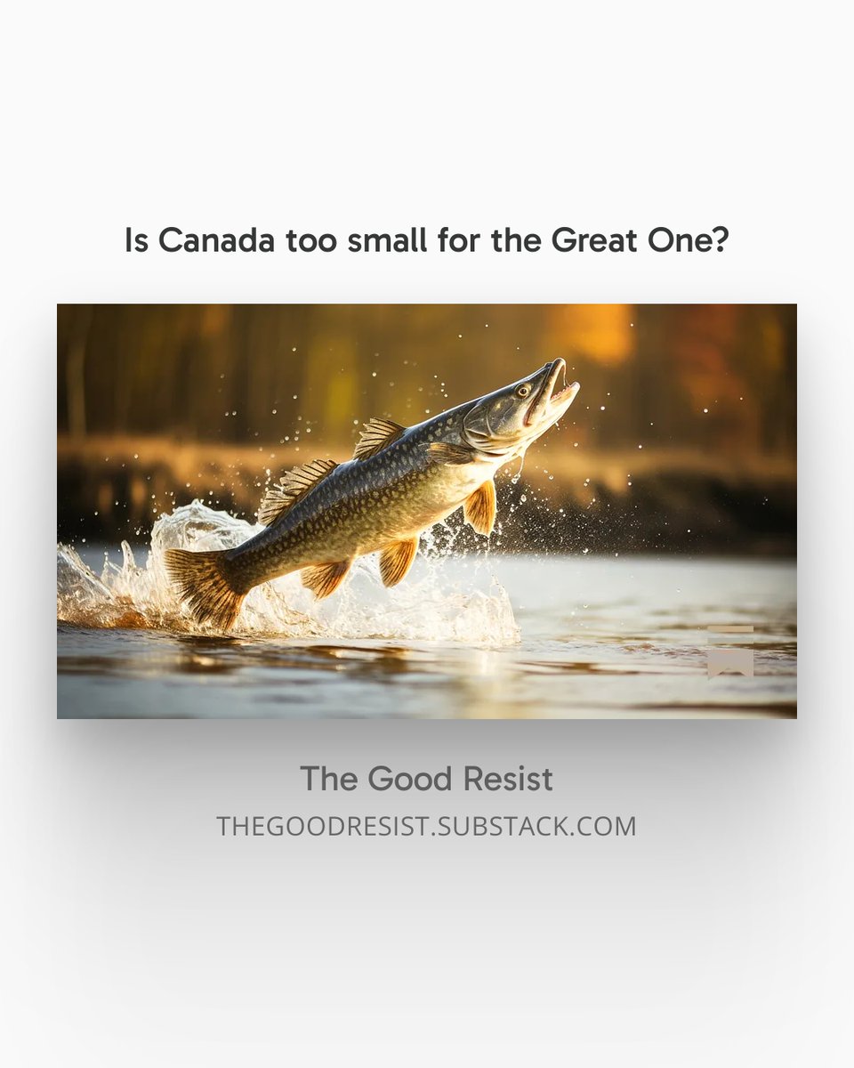 Jodi Bruhn tweet media