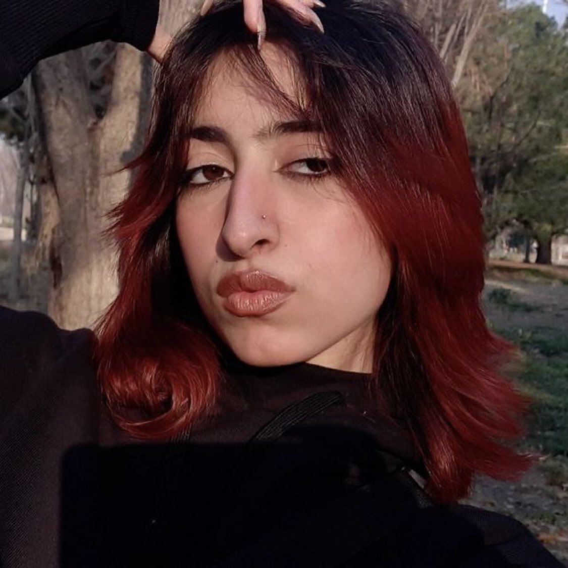 Moein Najafi tweet media