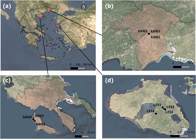 Panayiotis G Dimitrakopoulos tweet media