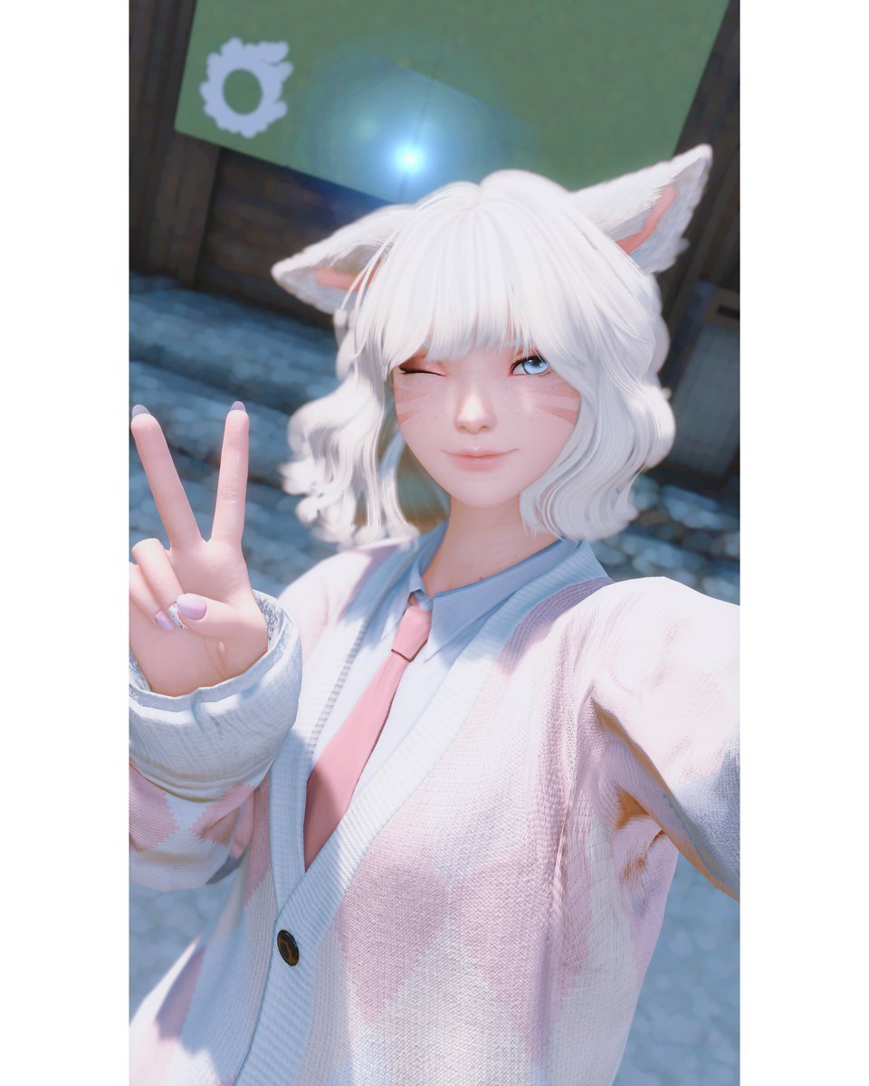 ✌️🐱