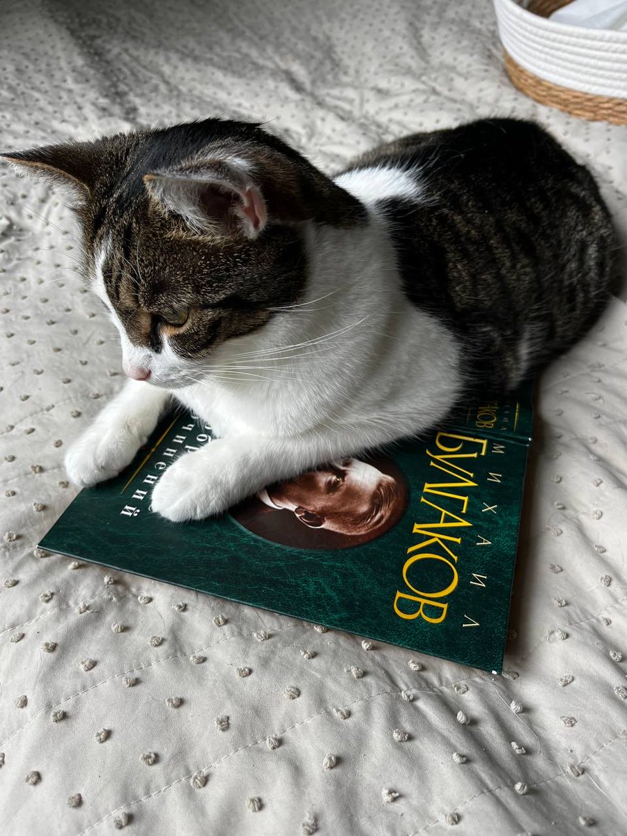 Новосилецький tweet media