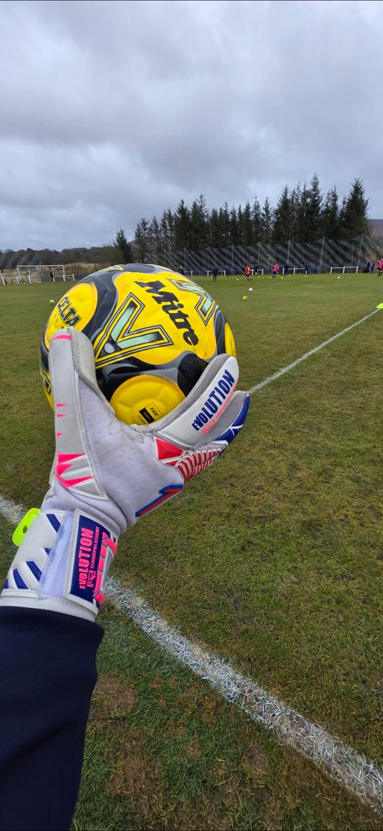 Evolution Goalkeeping Academy tweet media