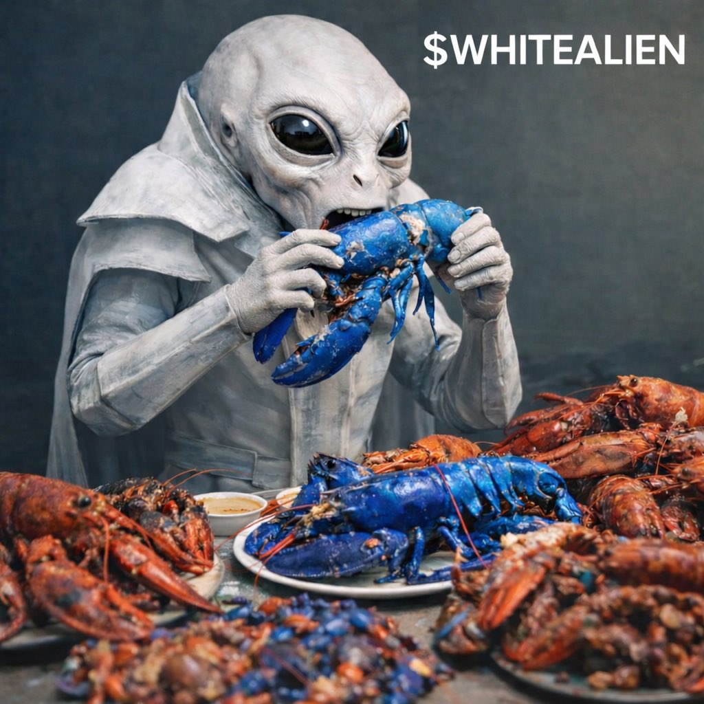 RRCryptoSol's tweet image. $whitealien will eat all lobstars 🤫🔥

5Xw8pE5hwTQycxZZ752yeBdtwWiRmDzxskt9Bgapump