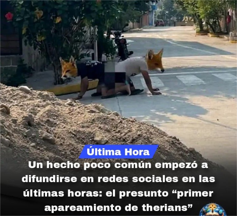 RankiroJdOficial tweet media