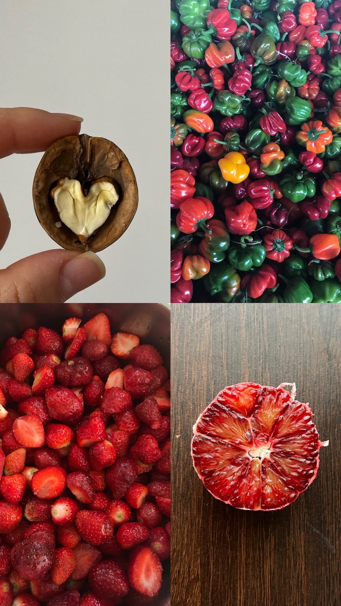 📌Rahman suresi tekrarlanan ayet.