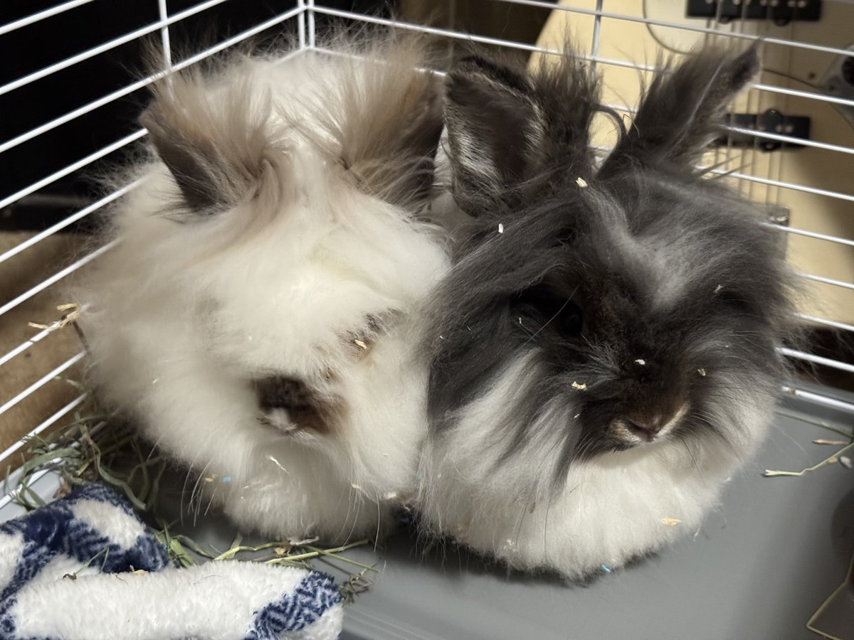 𝕍𝕚𝕧𝕖𝕖𝕟 💅 tweet media