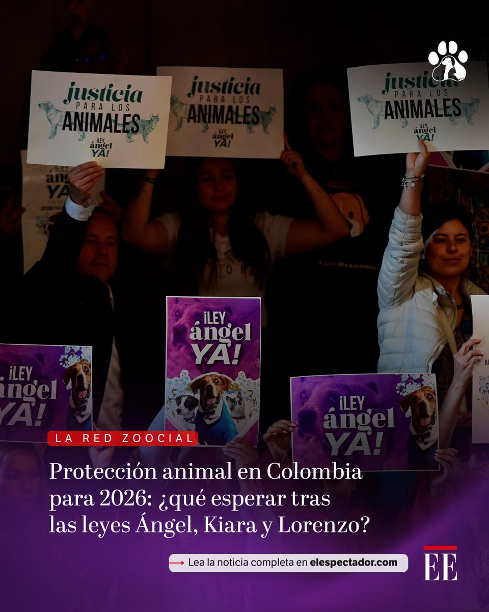 Hablamos con dos lideresas del movimiento animalista para entender qué se espera en materia de protección animal en 2026. 👉 trib.al/FpqP2Ue
