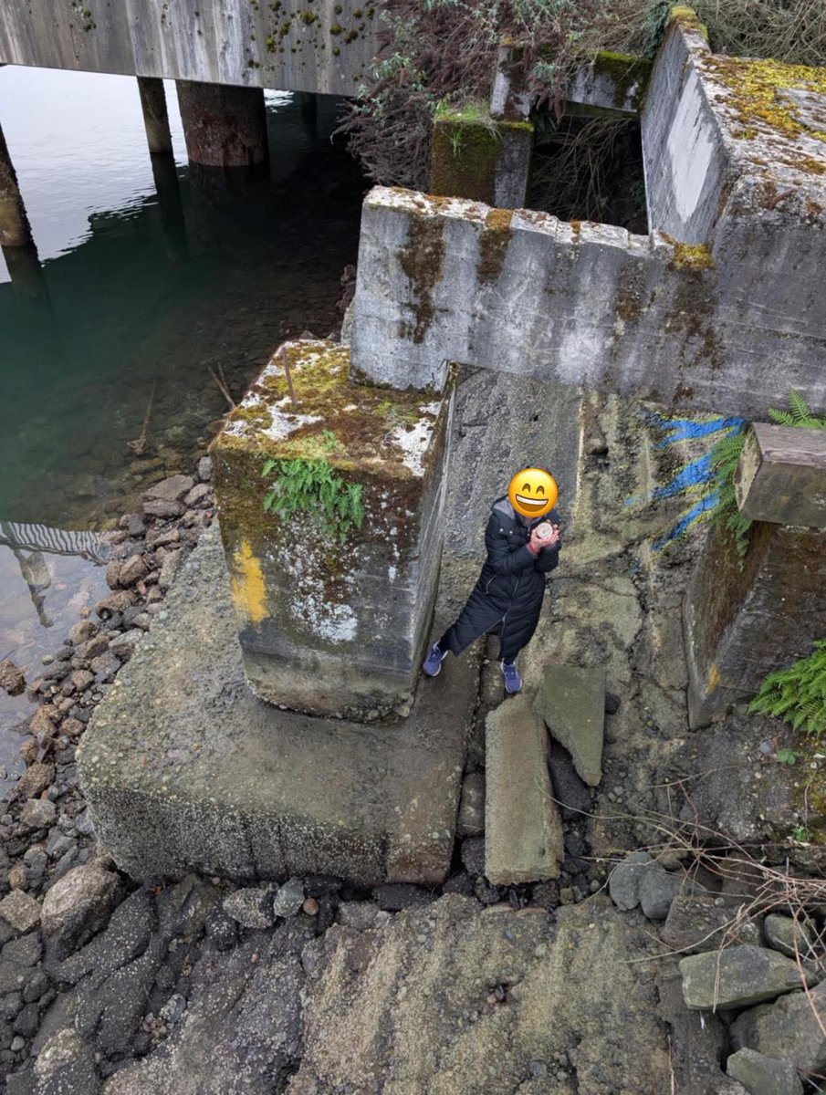 Mrs.FireMonkey tweet media