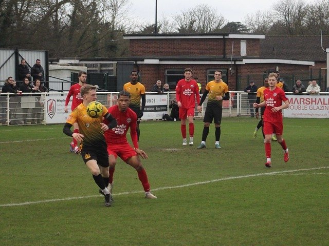 Local Bus Driver tweet media