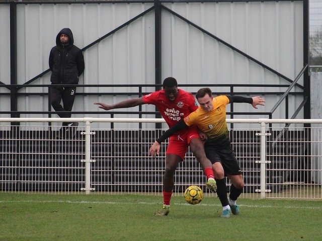 Local Bus Driver tweet media