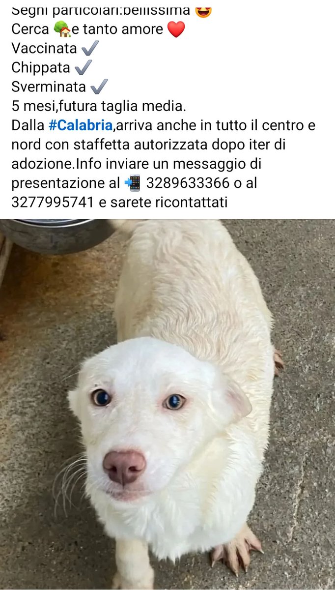 🙏🏼🙏🏼🏠🏠🏠🆘🆘‼️‼️‼️🚨🚨🚨